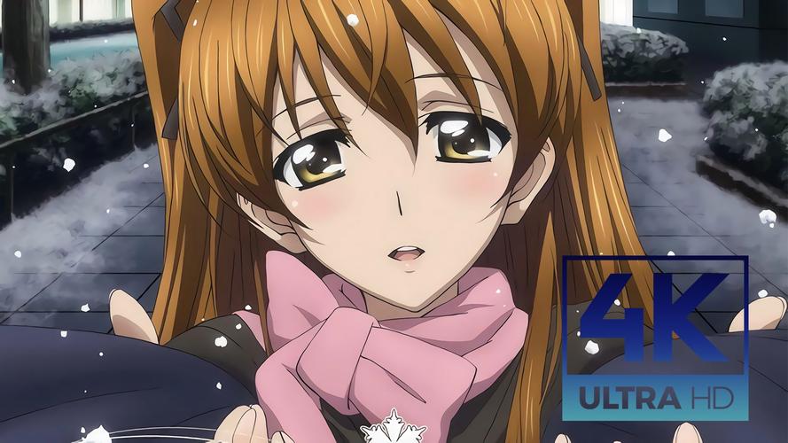 白色相簿合集汉化版下载：完整版更新内容抢先看