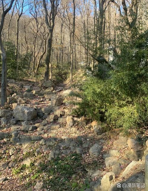 生化危机春游戏下载教程：避坑指南与资源推荐