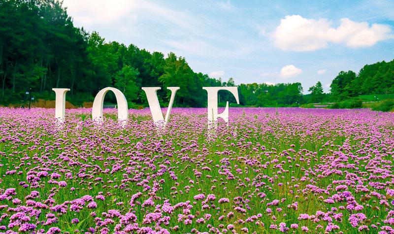 轻松下载阳光湾恋人1-3合集版本大全