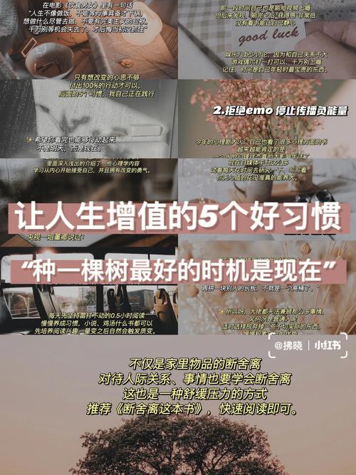 改变生活的选择游戏详解：人生抉择的奇妙冒险之旅