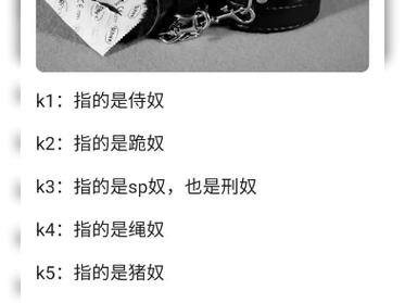 奴隶训练下载地址免费分享:快速下载无套路!