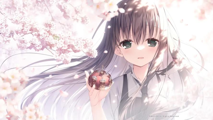 樱之刻最新版本更新内容详解:新增了什么?