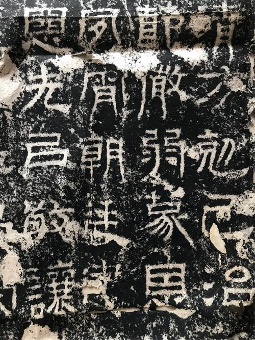 拓君和他的九个姐妹更新地址及下载方法详解:简单易懂