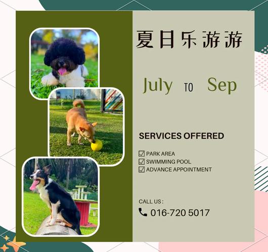 2023夏日狂欢版本大全：手游、端游应有尽有