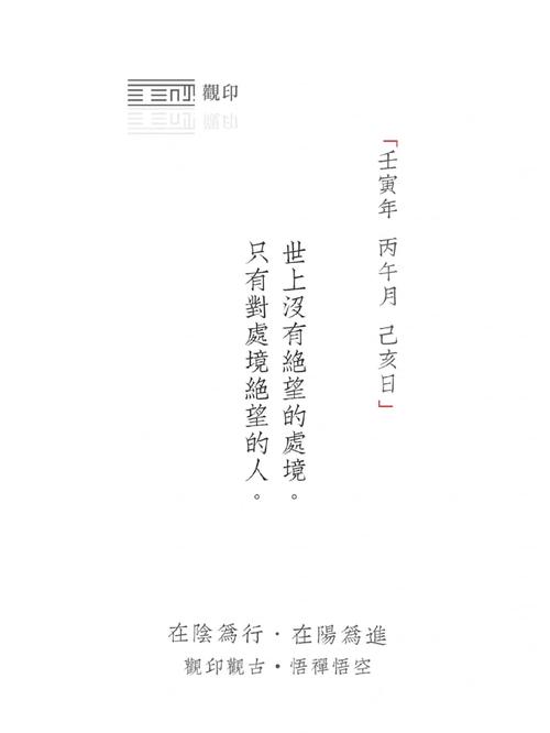 改变生活的选择安卓汉化版：你的每一次选择都至关重要