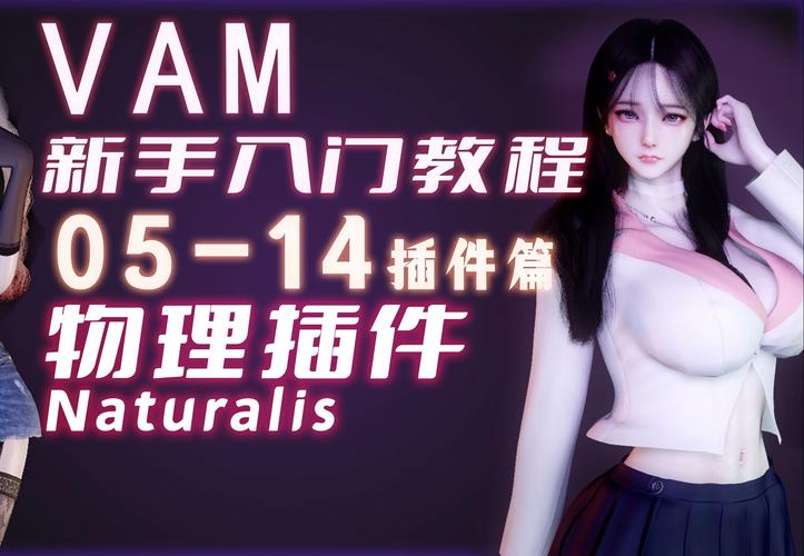 VAM纯净中文版官网下载：新手入门及使用教程