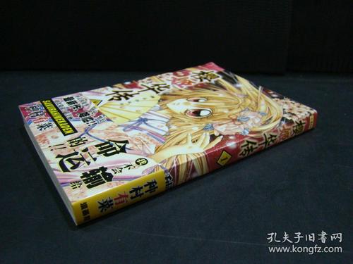 樱姬游戏1-4版本大全：超详细版本介绍，新手玩家必看！