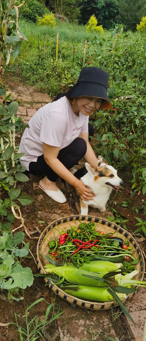 分享我的乡村生活最新见闻：简单纯粹的乡村日常