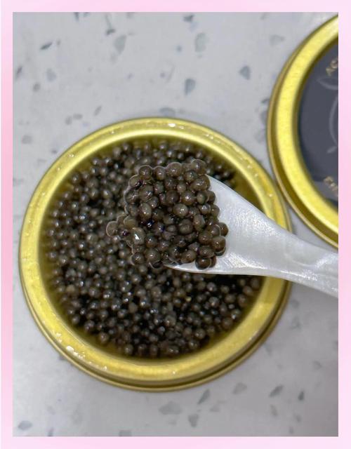 鱼子酱最新版本:有哪些新品值得尝鲜?