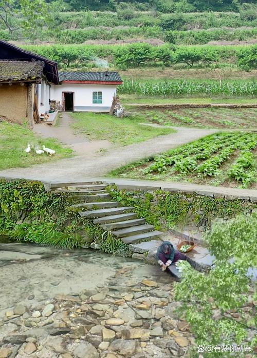 你想知道的乡村生活的快乐暑假汉化版最新更新都在这里!