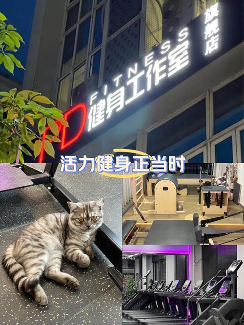 禁欲健身中心安卓版下载：自律健身，重塑自我