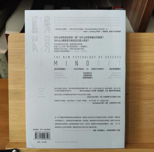 颠覆版本大全:重塑经典,带你体验不一样的精彩