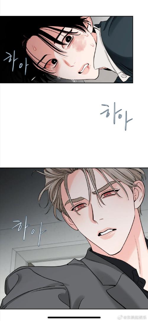 新天域0.2绅士游戏剧情解析：揭秘游戏背后的故事