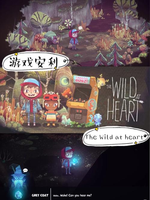 边境之村杨过游戏:值得一玩的神秘冒险