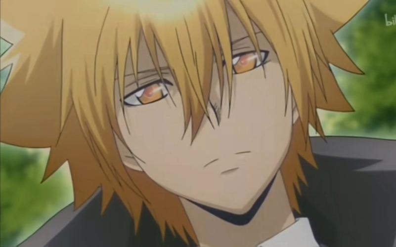 家庭教师游戏详解:带你走进彭格列家族