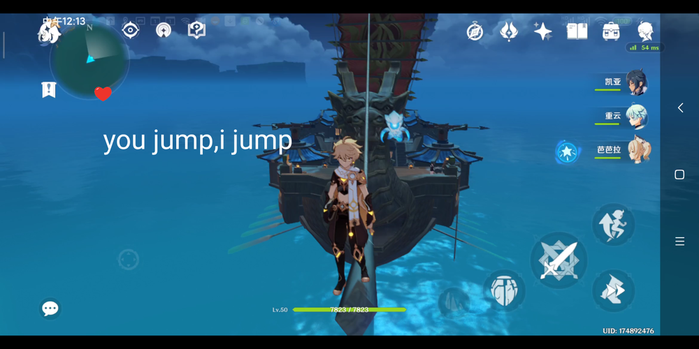 海盗尼克小姐版本大全:游戏资源及玩法攻略详解