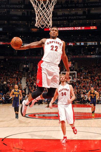 鲁迪最新版本是多少?2024最新版鲁迪下载地址分享