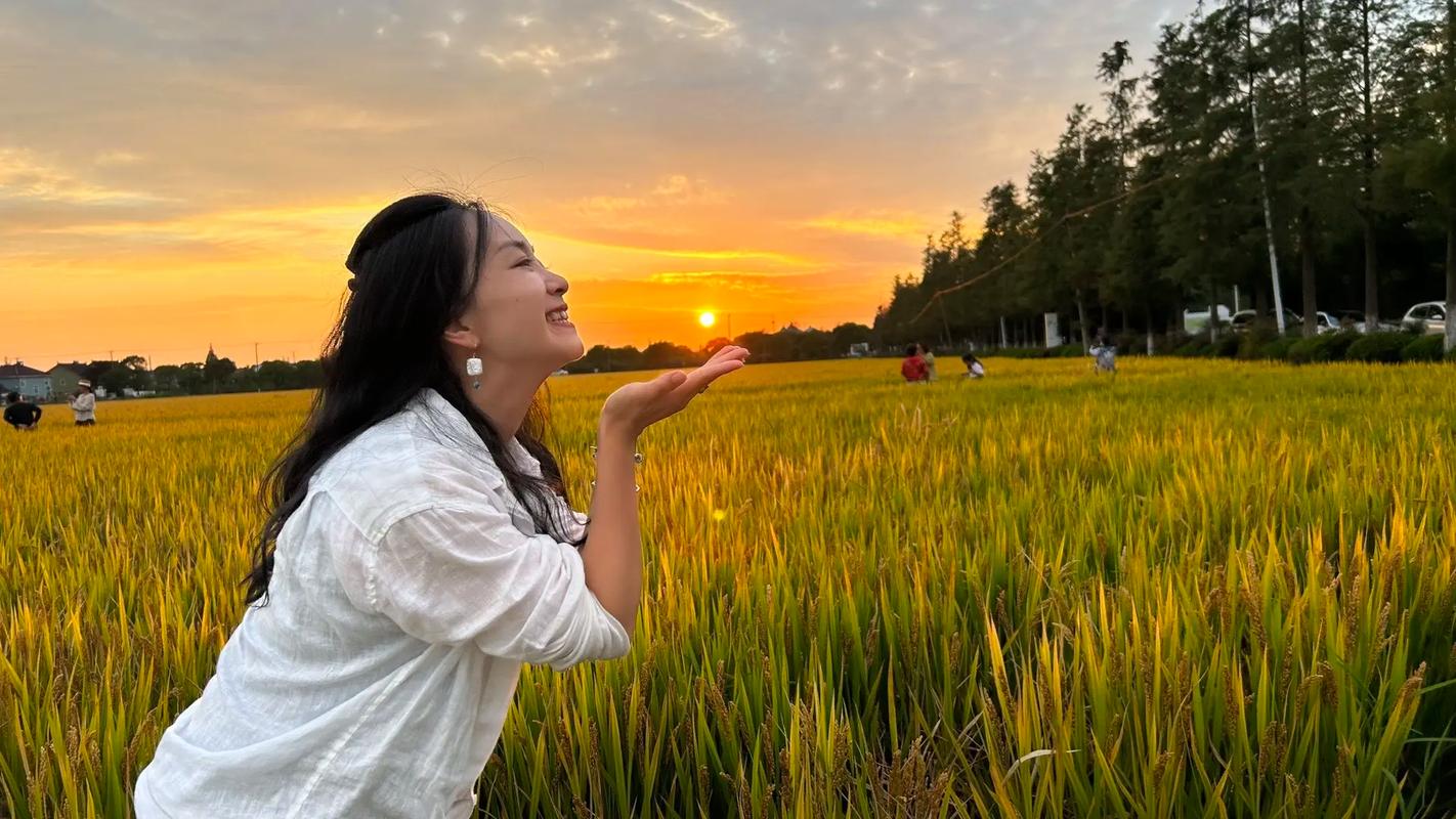 我的乡村生活更新地址在哪？最新版本下载入口