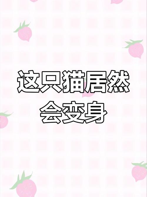 弟弟推荐！捡到千年猫，超治愈的猫咪养成游戏