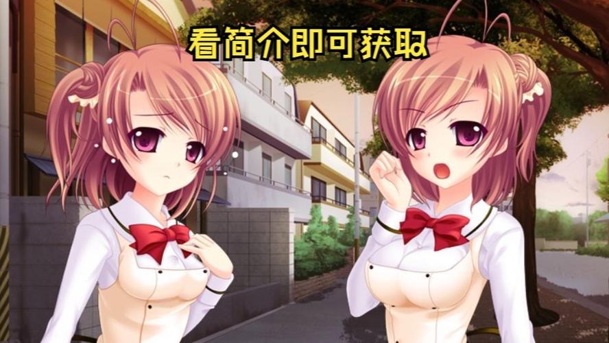 双胞胎少女逆推游戏安卓汉化版二维码获取