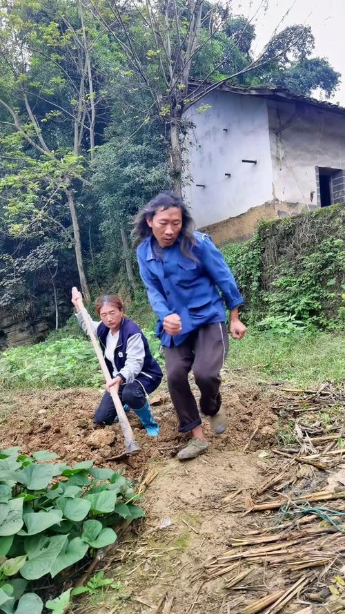 分享我的乡村生活最新见闻：简单纯粹的乡村日常