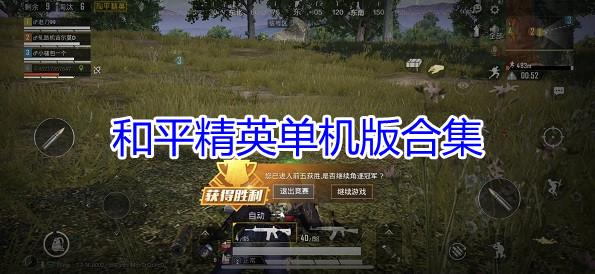 精英花园游戏版本大全:完整版下载攻略