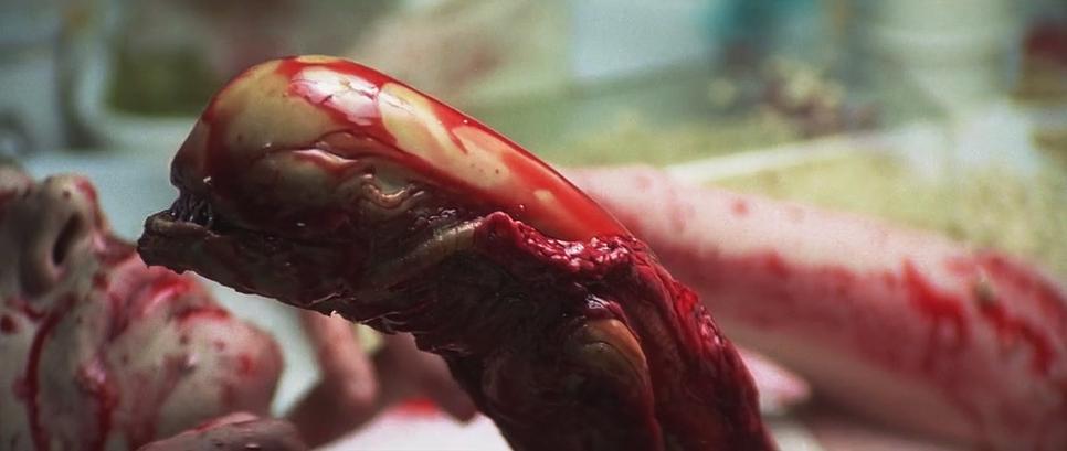 寻找异形探索汉化版下载？这里提供安全可靠的资源