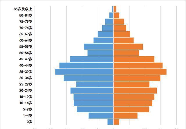家庭数女官方网站入口:了解家庭人口统计数据,方便快捷
