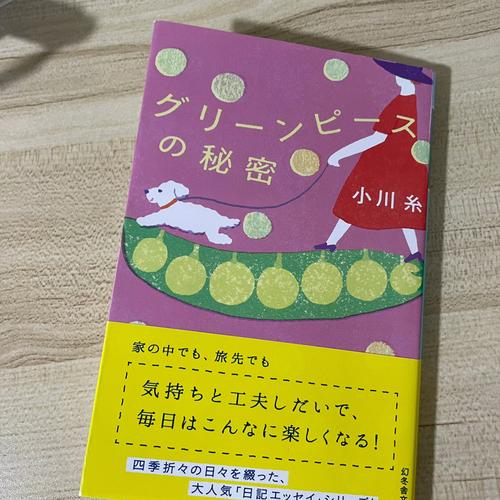 完整版日本的新起点:所有版本大比拼!