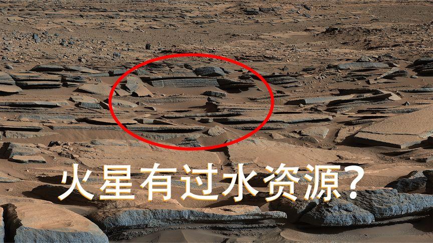 想玩生命体V0.18b最新版?这里有你想要的资源