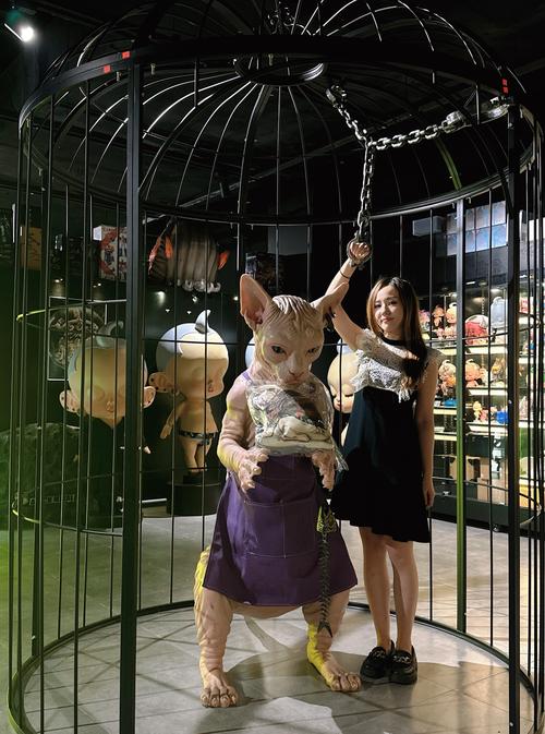 免费玩具诱导更新地址：揭秘！奇怪玩具背后的黑色产业链