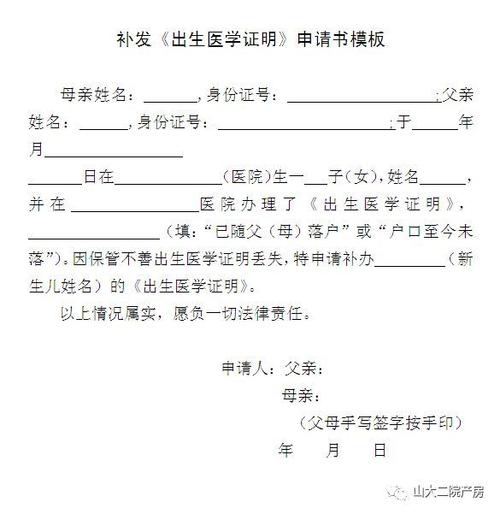 各种出生证明版本大全:附详细填写指南和注意事项