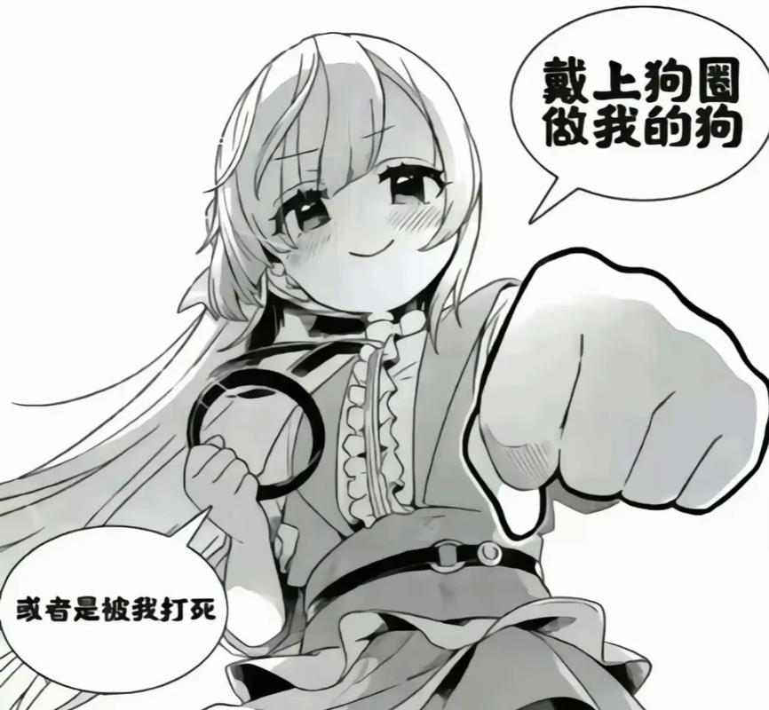 寻找奴隶们资源？这里有你想要的下载