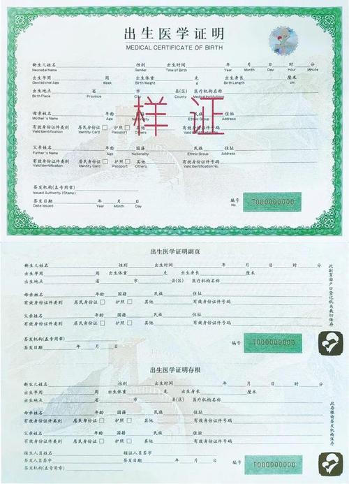 各种出生证明版本大全:附详细填写指南和注意事项