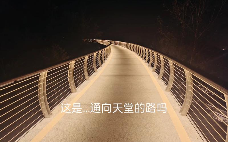 通往天堂的道路最新版本评测：剧情深度解析