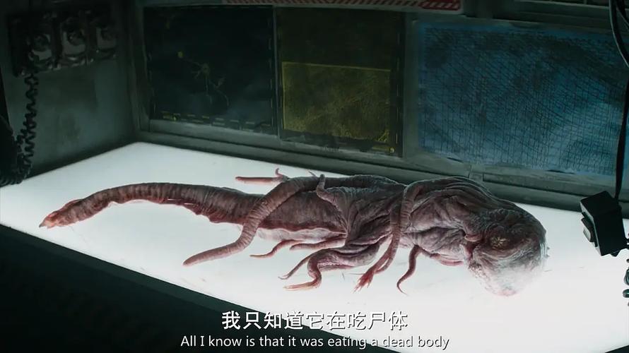 好玩刺激的兔女郎的奇妙异星冒险游戏官网：带你开启异星之旅