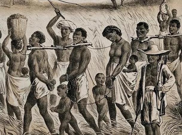 了解罗马奴隶制度：罗马的奴隶官方网站深度解析