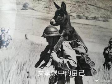 女拳主义版本大全：不同版本区别及推荐