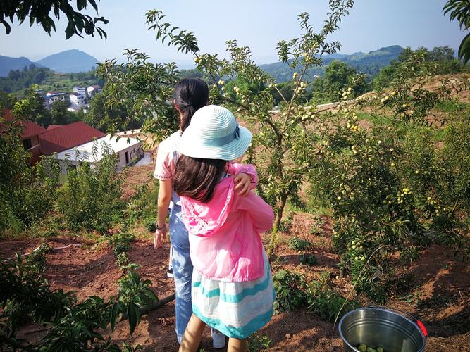 你想知道的乡村生活的快乐暑假汉化版最新更新都在这里!