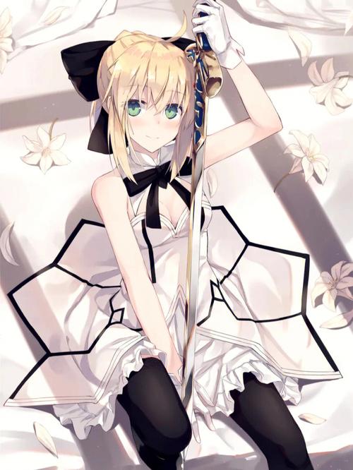 少女之剑与秘密的协奏曲官网:体验精彩剧情,解开所有秘密