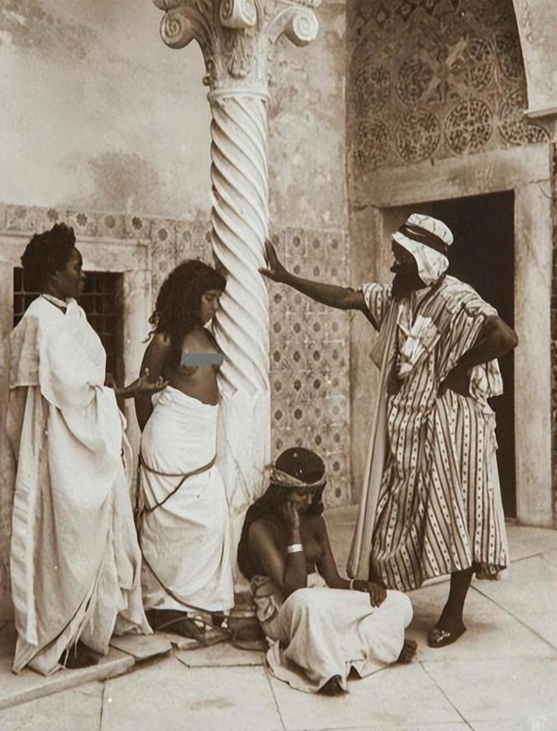 想看罗马的奴隶?这里有最新更新地址!