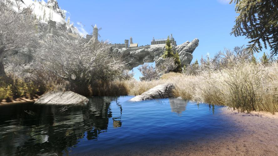 上古卷轴5版本大全：哪个版本最适合你？