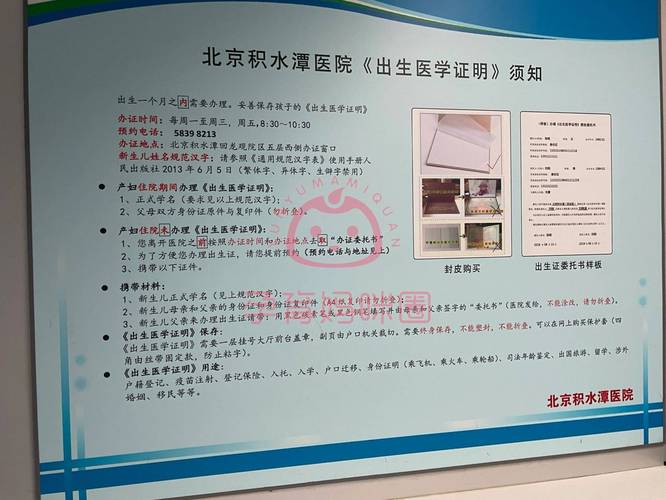 出生证明游戏攻略：玩法介绍及剧情深度解析