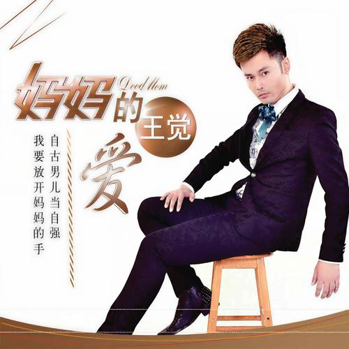 妈妈的爱版本大全:各种版本歌曲合集