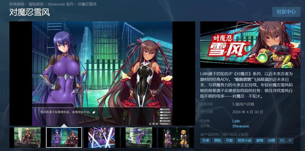 想玩对魔忍雪风汉化版？下载方法分享！