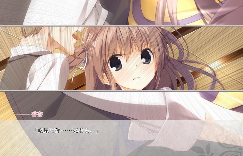 樱之刻最新版本更新内容详解:新增了什么?