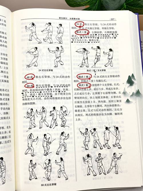 侧写者杨过游戏攻略:玩转江湖秘籍大全