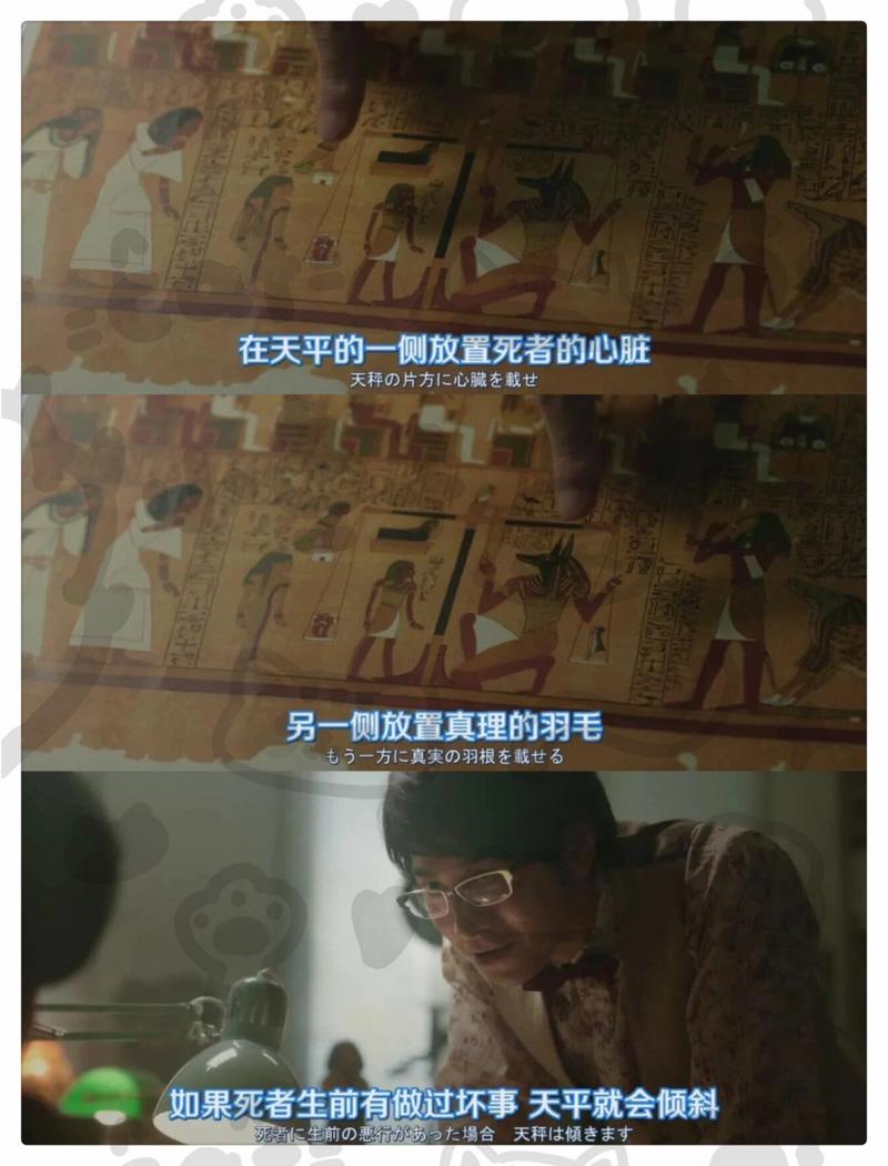 心脏问题游戏官网：独特剧情引人入胜，不容错过的佳作