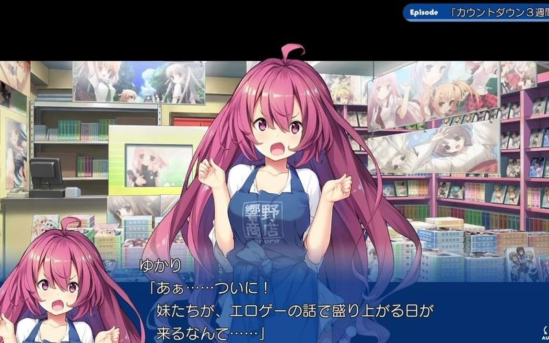 响野家的商店版本大全：你想要的都在这里！