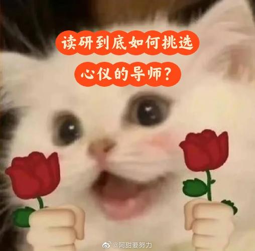 官方网站：好色搭档抢走所有心仪的孩子，内幕惊人！